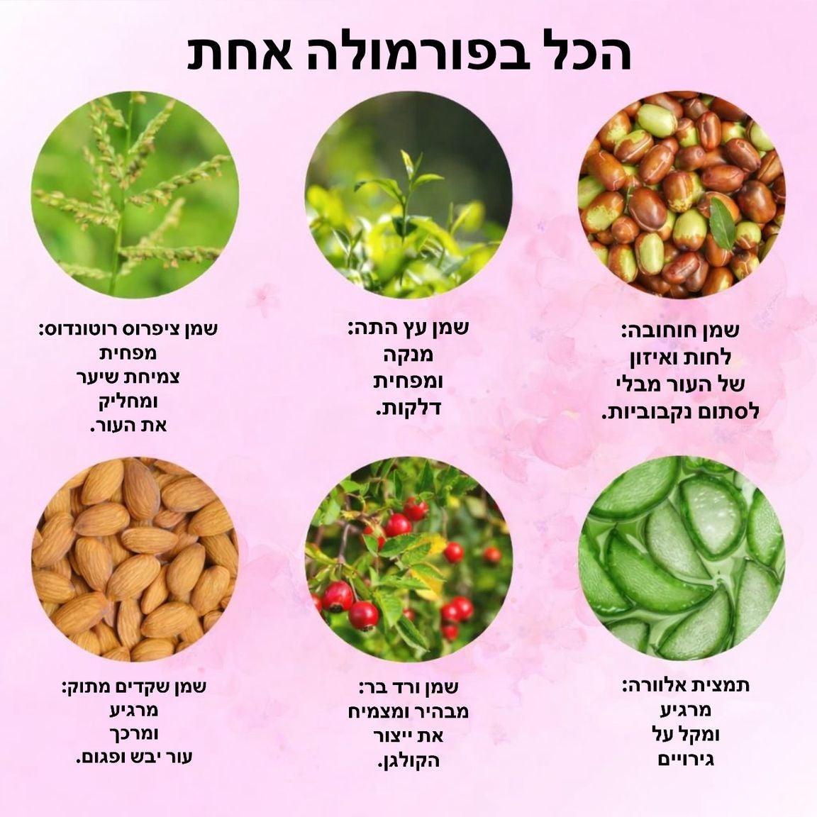 CYPERUS OIL™ - שמן מעכב צמיחה